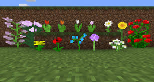 They can be used to make dyes, but are also very pretty! Just Realized These Are Nearly Meter High Flowers Minecraft