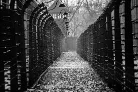 3a usually the holocaust : Holocaust Memorial Day 2021 12 Of The Best Teaching Resources For Primary And Secondary