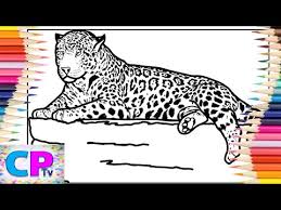 Agile leopard on a tree agile leopard on a tree. Leopard Coloring Pages Wild Animals Coloring Diviners Savannah Feat Philly K Ncs Release Youtube