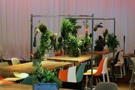 Urban Garden Industrie Look Eventfloristik Raumtrenner Hanging Garden Flaschendekoration Farne Nutans Flaschen Dekoration Hangepflanzen Raumtrenner