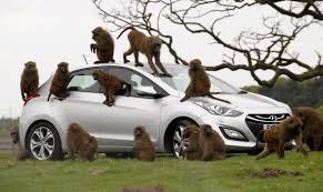 Hyundai Motor Group Signs Research Agreement With Leading American Universities Hyundai Motor Hyundai Cars Hyundai