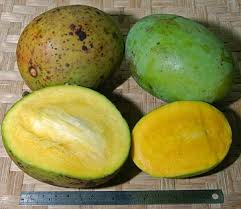 Di harapkan peserta didik menjadi aktif mengeksplor, menggali, dan. Pokok Macang Wikiwand
