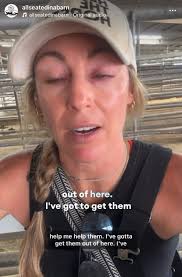 THIRTY HORSES LEFT. And then… the truck rolls out. Tomorrow evening, the  slaughter truck will load and leave and unless we pull off a miracle—30-34  horses will be