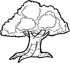 Related Image Cartoon Trees Cartoon Drawings Simple Cartoon