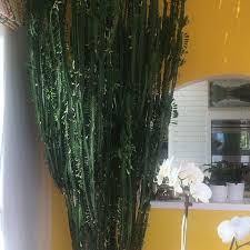 Erina Emery It S Haircut And Propagation Time For My