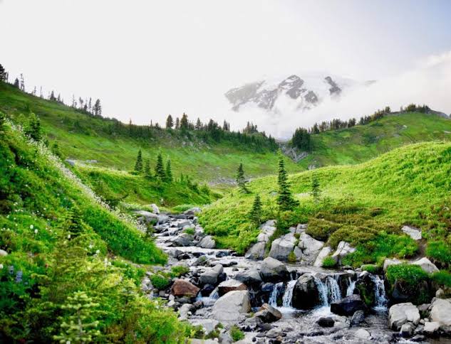 Mount Rainier Sunrise or Paradise? – Journey Jitters