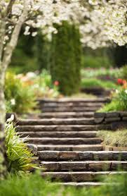 Spring 4 Jpg Photo Background Images Blur Background Photography Best Background Images