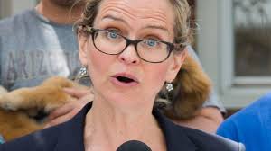 County Exec contender Laura Curran offers campaign finance plan