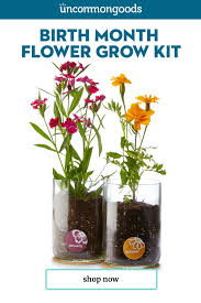 Birth Month Flower Grow Kit Uk Birth Month Flower Grow Kit In 2020 Birth Month Flowers Month Flowers Garden Gifts
