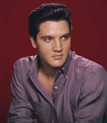 Everybody loves Elvis, come meet this sweetheart!