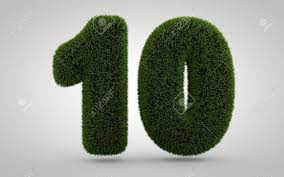 Green Grass Number 10 Isolated On White Background 3d Rendered White Background Green Grass Background