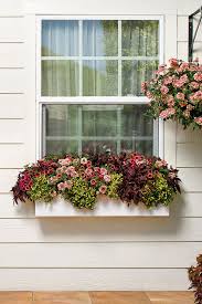 Install two eye bolts in the back of the box using a washer and a nut on each face. Reds Peachy And Yellow Tones Sets The Stage In A Combination We Call Full Of Joy These Are Easy To Care For Window Box Flowers Window Box Garden Window Box