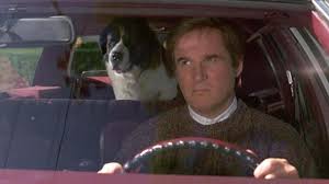Charles grodin, best known for the neurotic comic wit he demonstrated in such films as the heartbreak kid, heaven can wait and midnight run and for his role in the beethoven. Dr6ran Hvobn3m