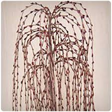 Check spelling or type a new query. Weeping Willow Tree Gift Weeping Willow Tree Art Miniature Weeping Willow Tree Symbolic Gift For Him Weeping Willow Tree Decoration Wood Mixed Media Collage Art Collectibles