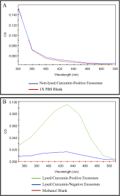 How does a spectrophotometer work? Spectrophotometric Detection Of Curcumin Within Exosomes From Panc 1 Download Scientific Diagram