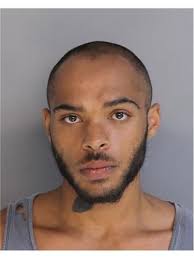 Police: Trenton man stole multiple cars, led police
