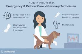 Each person is interested in finding out how much he/she will earn for the job he/she performs. Emergency Critical Care Vet Tech Job Description Salary Skills More