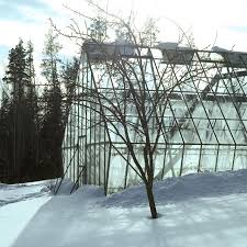 Wer Im Glashaus Sitzt Kann Sich In Ruhe Zurucklehnen Wintergarten Und Gewachshauser Sind Namlich Fur Immergrune Pflanzen Der P Glashaus Gewachshaus Gewachs