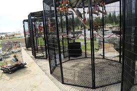 Outdoor Bird Aviary For Sale Outdoor Bird Aviaries Design A Great Outdoor Bird Aviary Bird Aviary Aviary Chickens Backyard