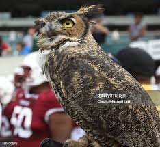 61 Fordham V Temple Stock Photos, High-Res Pictures, and Images