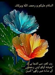 Image result for tbn:fWFGfe7mxNEQKM::www.feamman.com/wallpapers/Img-82755.jpg