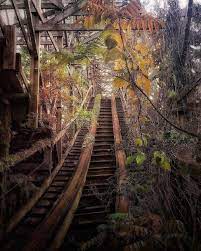 Overgrown Roller Coaster Abandoned Places Abandoned Theme Parks Abandoned Houses