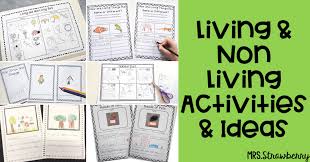 living and non living activities and lesson ideas mrs strawberry