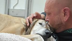 Fundraiser by Shawn Hebert : Help me cover Marleys cremation and a memorial  tattoo.