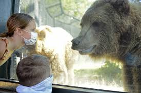 Zoo, place where wild animals and domesticated animals are exhibited in captivity. Oakland Zoo Reopens And Apparently Some Of The Animals Even Missed Us Kqed