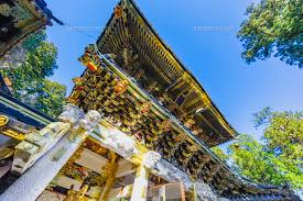 テニス ナダル オリンピック欠場「簡単な決断ではなかった」 6月17日 22時48分 new テニス. æ—¥å…‰æ±ç…§å®®ã®é™½æ˜Žé–€ 01636092435 ã®å†™çœŸç´ æ ã‚¤ãƒ©ã‚¹ãƒˆç´ æ ã‚¢ãƒžãƒŠã‚¤ãƒ¡ãƒ¼ã‚¸ã‚º