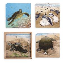 Catherine macbride / moment / getty images in animation and graphics software, layers refer to the. Sea Turtle Life Cycle 4 Layer Puzzle With App Jigsaw Puzzles Games Puzzles Early Childhood Education Education Supplies Nasco
