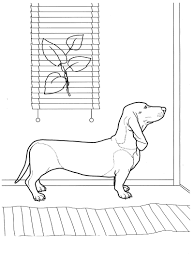 Pin On Adult Colouring Pages