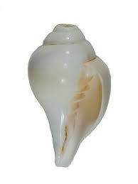 We would like to show you a description here but the site won't allow us. Pin On Brass And Other Horns