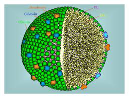 Maybe you would like to learn more about one of these? Integral Proteins In Plant Oil Bodies