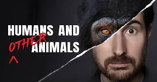 NHdocs & CompassionFest present HUMANS AND OTHER ANIMALS