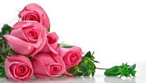 Najwyższa jakość, szybką dostawą do miejsca wybranego przez was. Jakie Kwiaty Dostaniesz Na Dzien Kobiet Samequizy