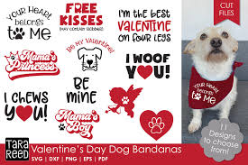 Download Valentines Day Dog Bandanas Dog Svg And Cut Files 407004 Cut Files Design Bundles