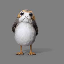 Meet The Porgs The Cutest Stars In The Galaxy Star Wars Drawings Star Wars Art Star Wars Fandom