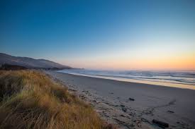 Beachfront Sections In Magical Mahanga Trade Me Property Outdoor Seaside Beach