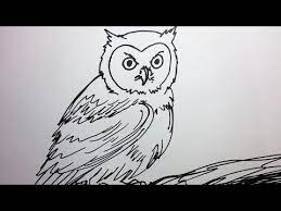 Download now karya seni lukis pensil steemkr. Menggambar Burung Youtube