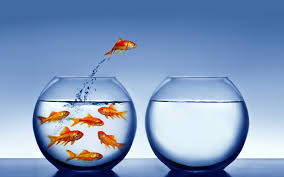 Image result for personal growth