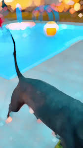 #pupsandpints in #virginiabeach was such a great time! I love finding #dog  friendly places close to home !