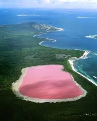 Can You Swim In Lake Hillier Australia Beautiful Places On Earth Breathtaking Places Lake Hillier