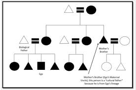 chapter 3 family and marriage selected perspectives an