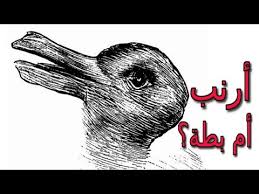 ماذا ترى في هذه الصورة الجواب سيحدد نوعية شخصيتك إن كنت مبدعا أم لا youtube