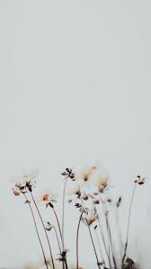 Wallpapers Tumblr Wallpapers Celular Planos De Fundo Iphone Android Imagens Fofas Desenhos Fotografi Seni Fotografi Abstrak Bunga Kering 750pixels x 1334pixels size : pinterest
