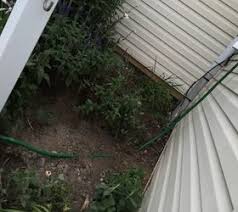 Saves landscaping from dragged hoses. Hose Extender Hometalk