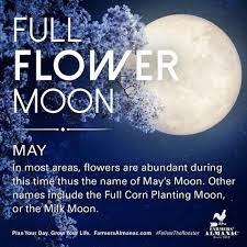 Birthdaynumerology May Full Moon May Moon Moon Date