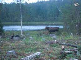 Norrbottens län wird aus der historischen provinz norrbotten und einem teil lapplands gebildet. Ferienhaus 1375 Gemutliches Ferienhaus Mit Meer Und Seenahe Norrbotten Besuchschweden De