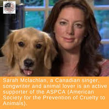 Pro Animal Welfare Supporter Animal Sanctuary Animals Animal Welfare